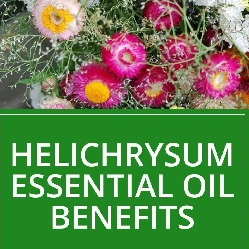Helichrysum Essential Oil Benefits