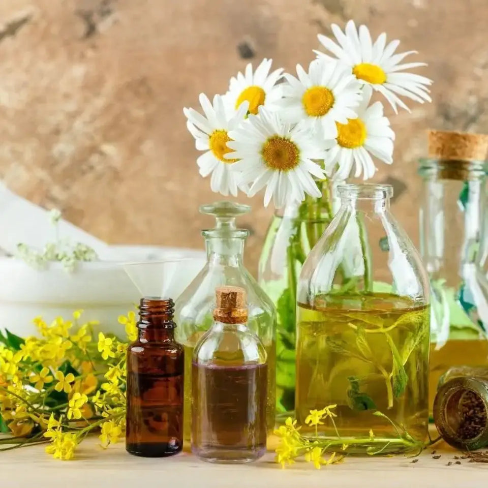 Hydrosol Vs Essential Oil - Key Differences & Best Choice For You