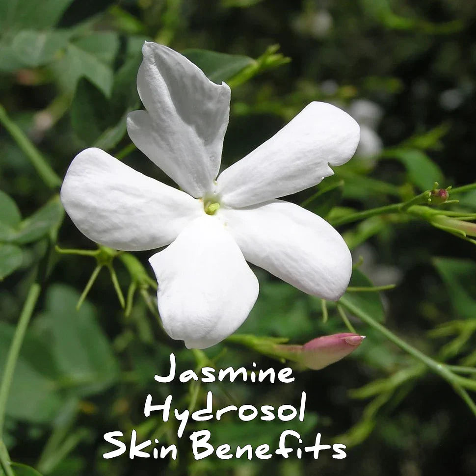 Jasmine Hydrosol Skin Benefits