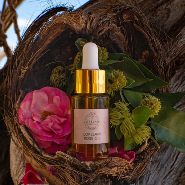 Lokelani Rose Oil Blend