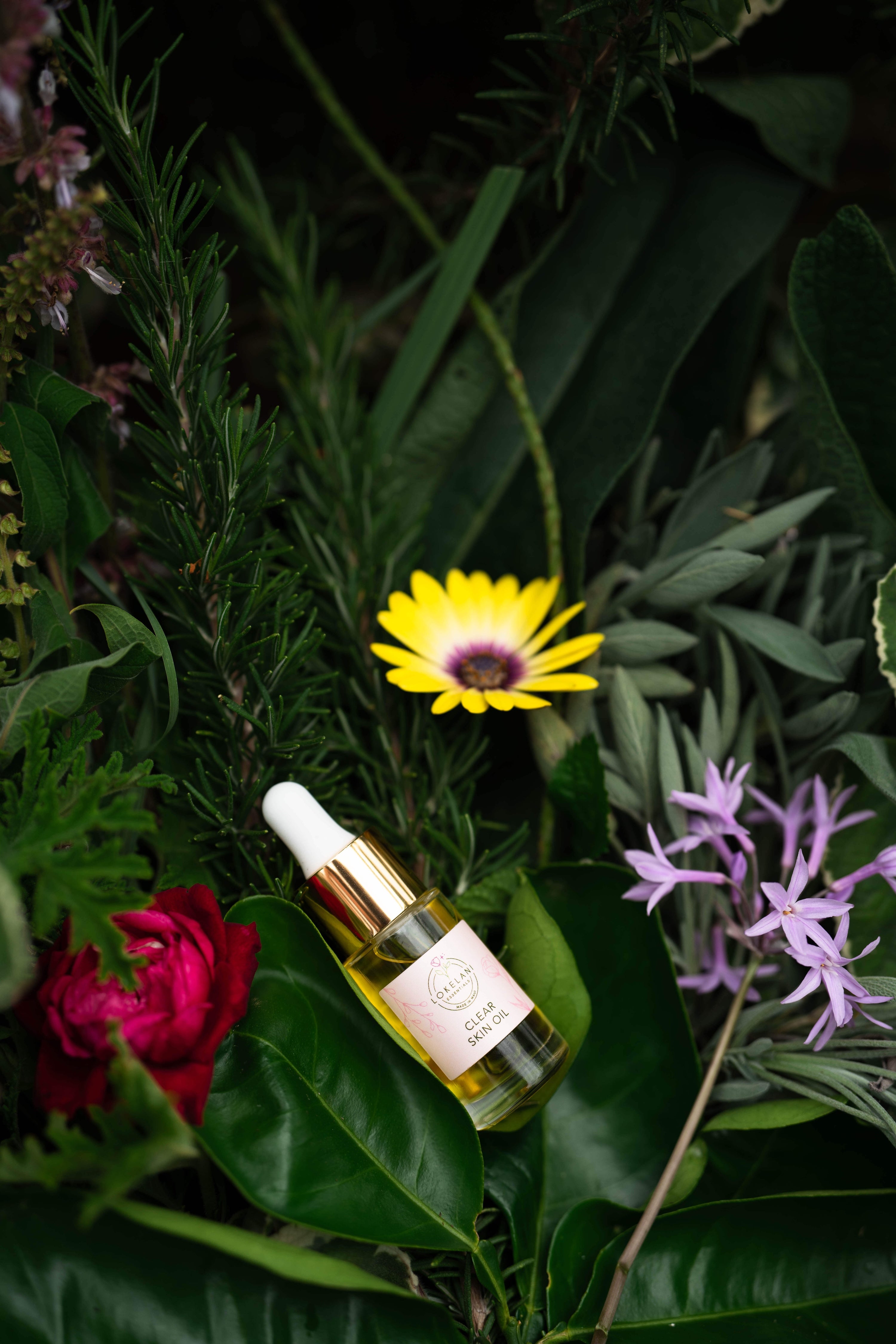 Clear Skin Face Oil