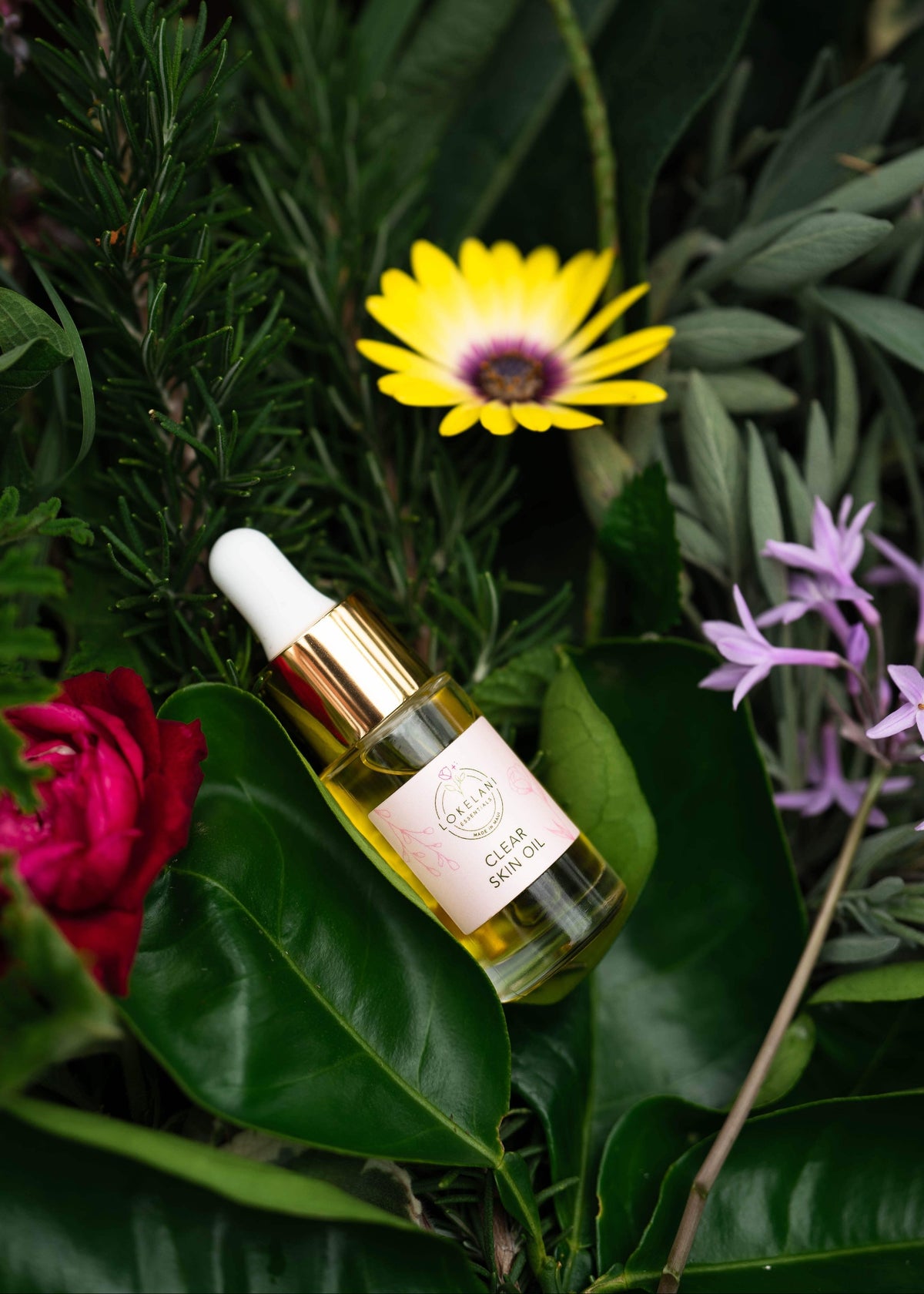Clear Skin Face Oil