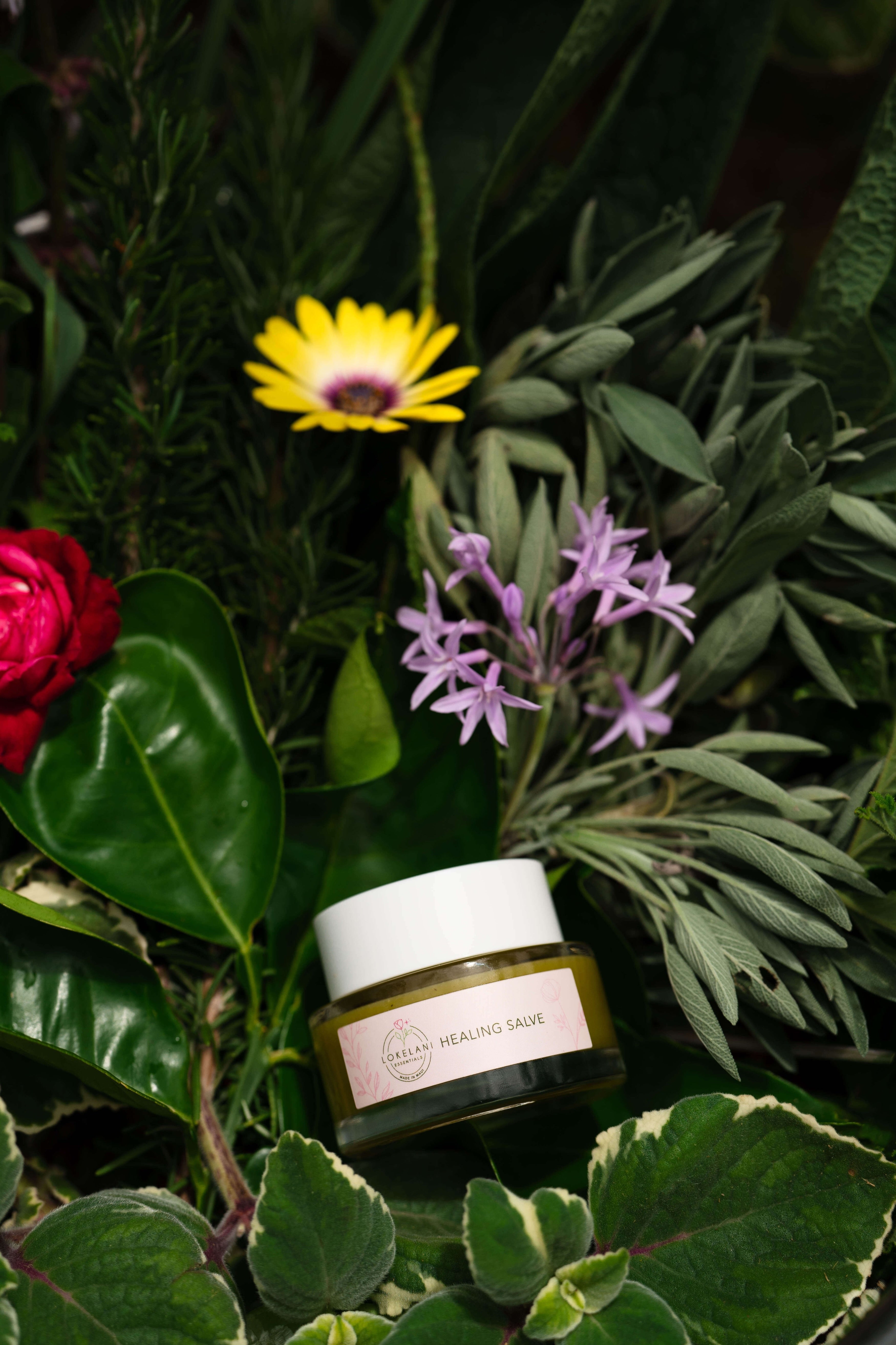 Herbal Healing Salve
