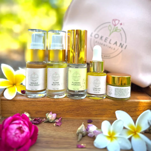 Gift bag/ Travel Kit