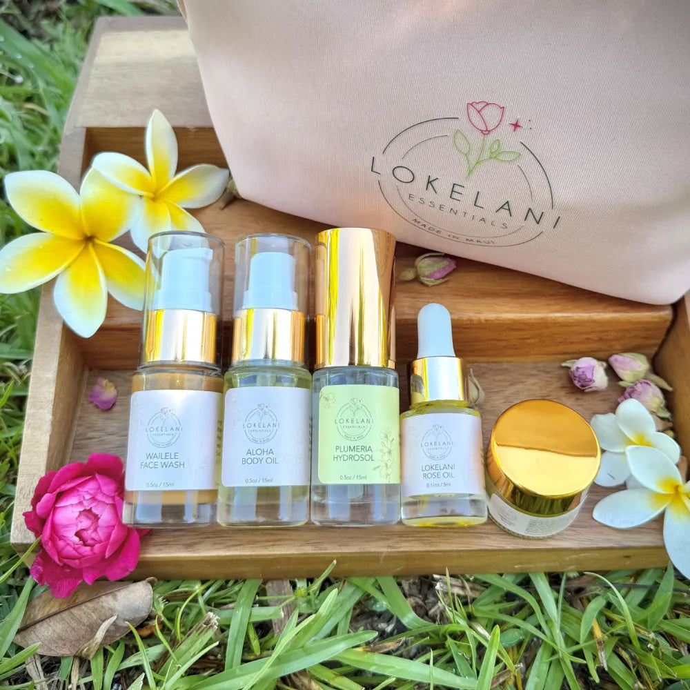 Gift bag/ Travel Kit