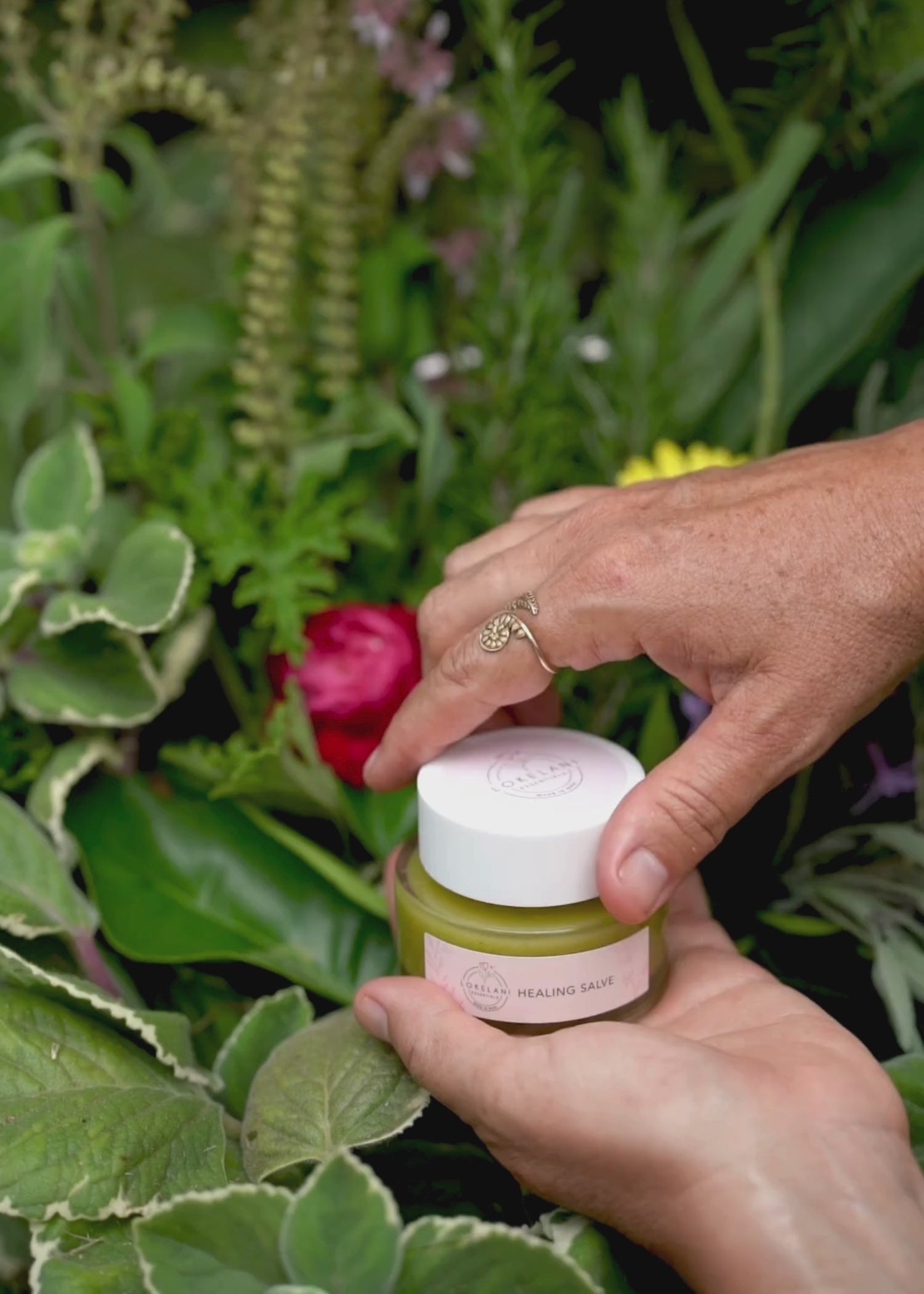 Herbal Healing Salve