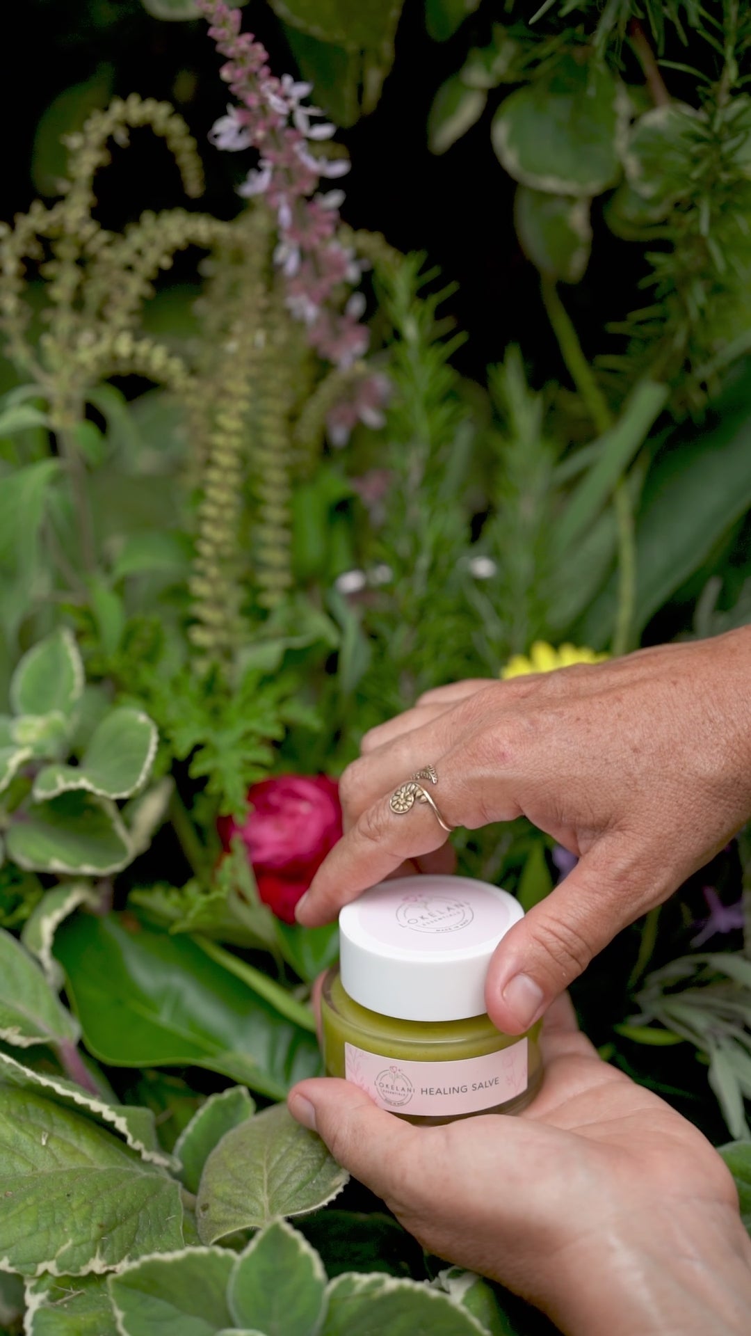 Herbal Healing Salve